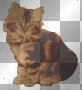 GATINHO MARROM