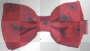 Bow Tie