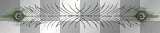 peacock feather