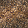 Brown Glitter