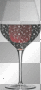 Glass of Bubbly