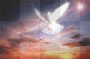 Dove