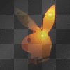 Playboyhase