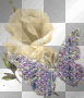 fleur-papillon