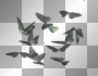 butterflies