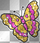 yellow pink butterfly