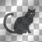 Black Cat
