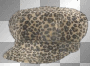 Leopard Hat 2