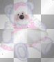 Stamp Stamp