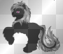 poney