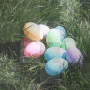 eggs
