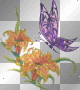 butterfly and lilies