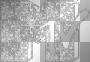 mtv