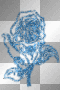 Blue rose