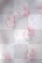 Pink Roses
