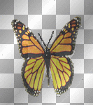 3D Butterfly 3D Butterfly