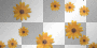 '' ''