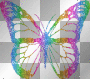 rainbowfly