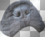pup nose