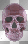 tete de mort