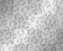 Leopard print