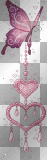 butterflu  and  hearts