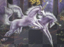Unicorns Fantasy