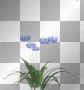 flowers flowers