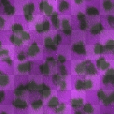 purple leopard print