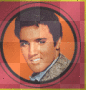 Animated Elvis  (15)