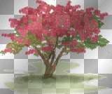 Flower Tree