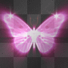 blink butterfly