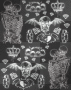 black and wihte