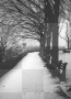 snow scene