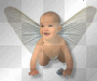 Angel Baby