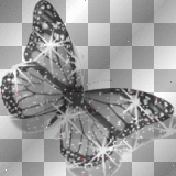 papillon noir blanc rose
