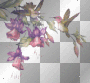 flowers birds flowers birds
