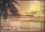 paradise
