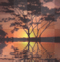 Animated Beautiful Sunset
