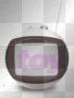 t.v