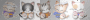 kittys