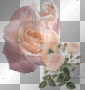 Fairy Rose Pink glitter