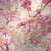 flowers flowers