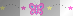 cute butterfly