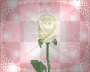 Girly I Luv U Background  :-)