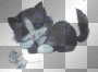 Cat And Mous Playing