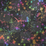 splats of paint