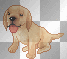 Tiny Brown Puppy  :-}