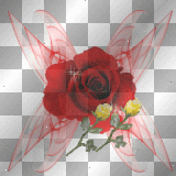 Red Fantasy rose 