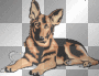 chien